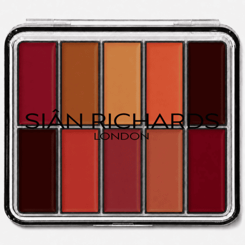 Vida Complexion and Foundation pro Makeup Palette